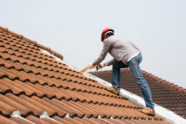 Best Rubber Roofing (EPDM, TPO)  in Franklin Rk, PA